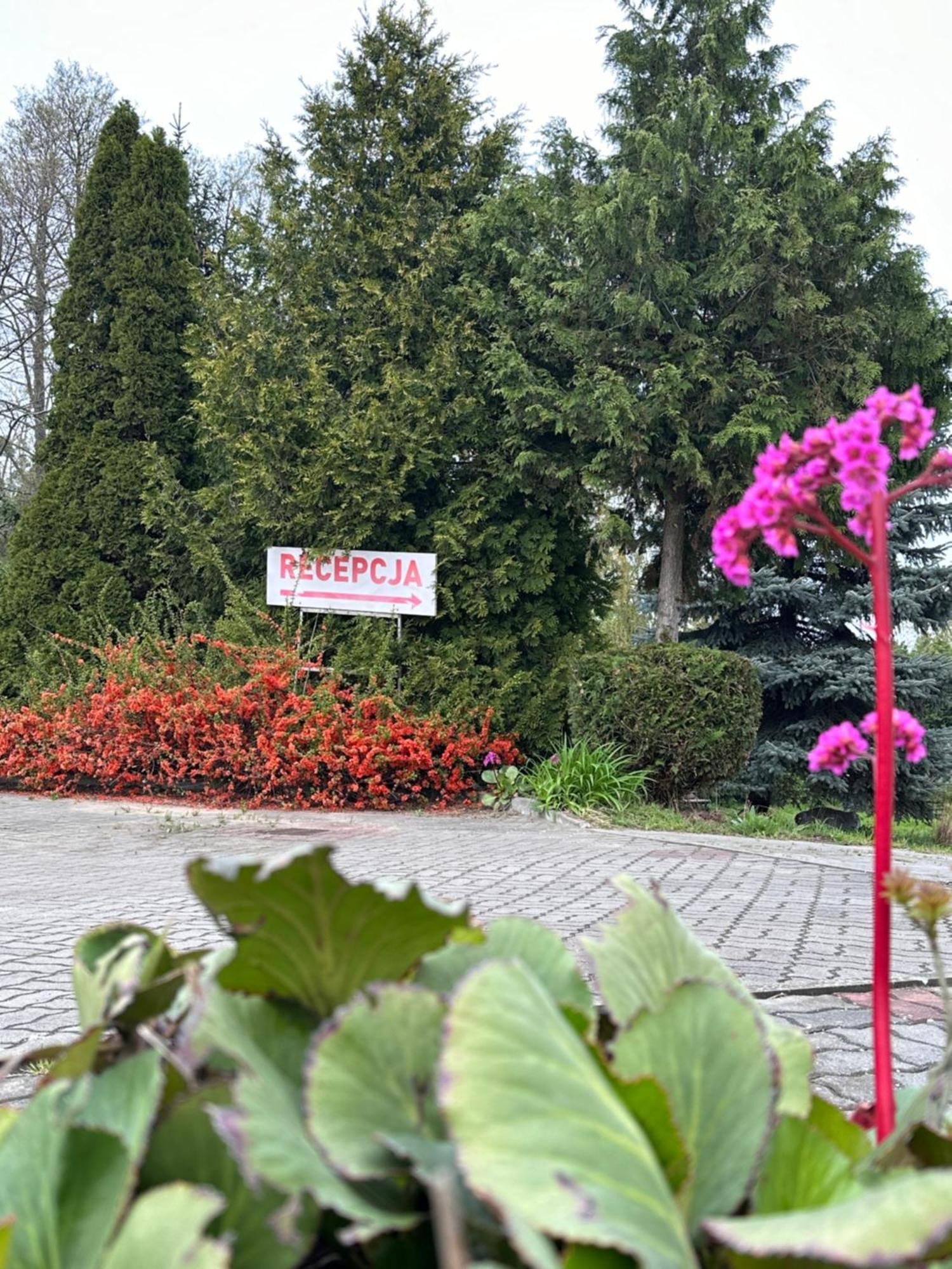 Karat Bed & Breakfast Malbork Dış mekan fotoğraf